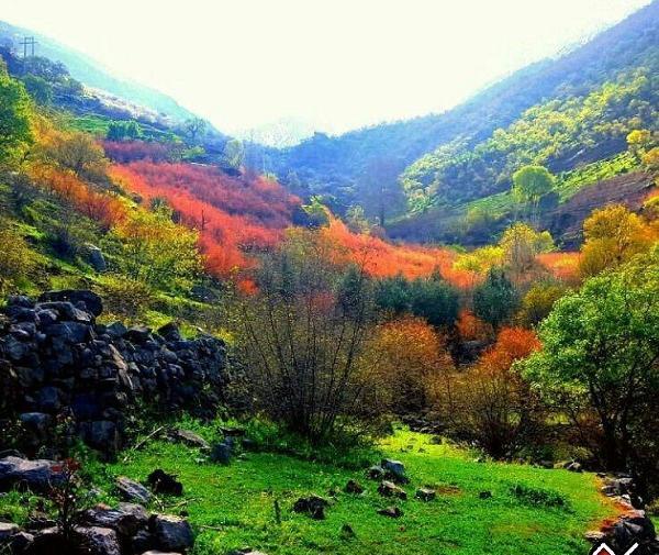 عکس طبیعت هورامان
