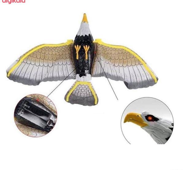 عکس عقاب دستی