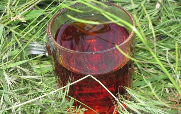 عکس چای طبیعت