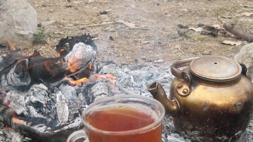 عکس چای طبیعت