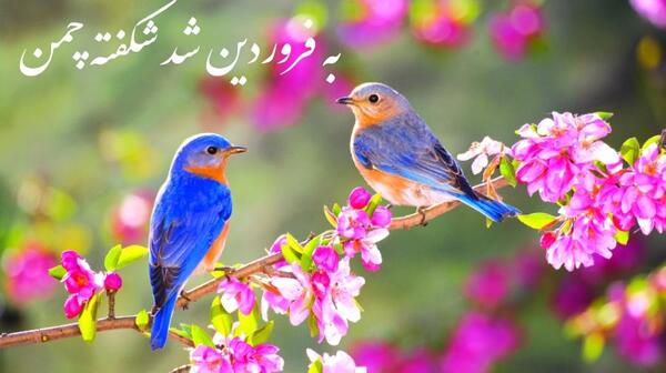 عکس بهار فروردین