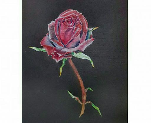 عکس ساده با مداد رنگی