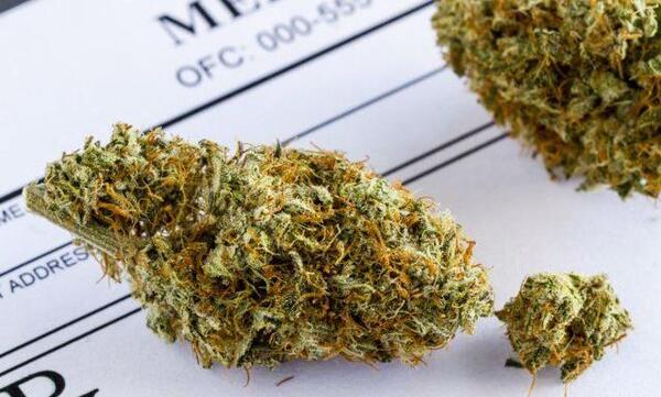 عکس گل کشیدنی