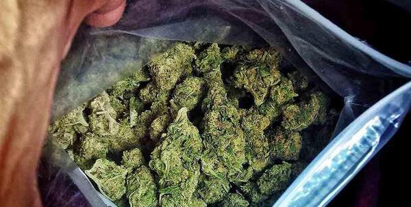 عکس گل کشیدنی