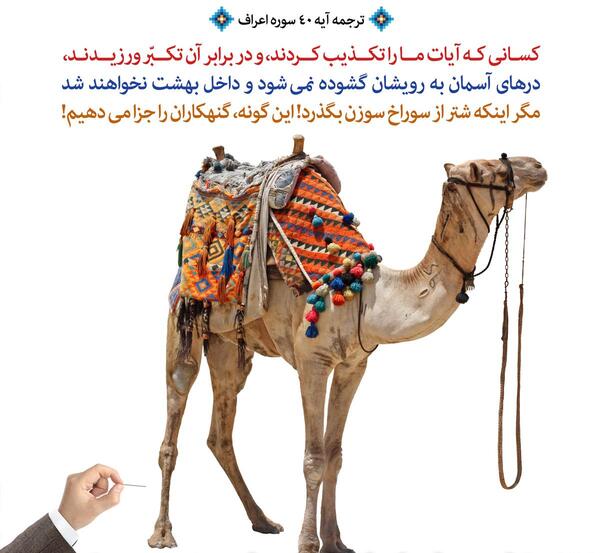 عکس شتر حضرت محمد