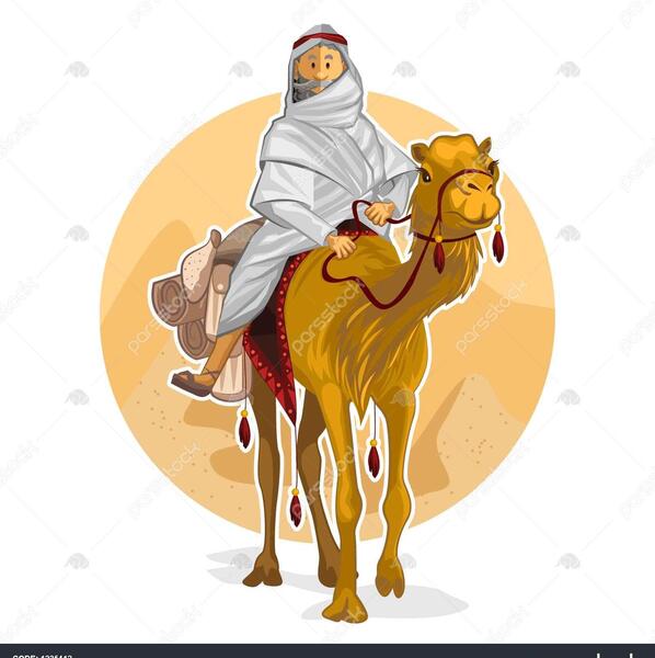 عکس شتر حضرت محمد