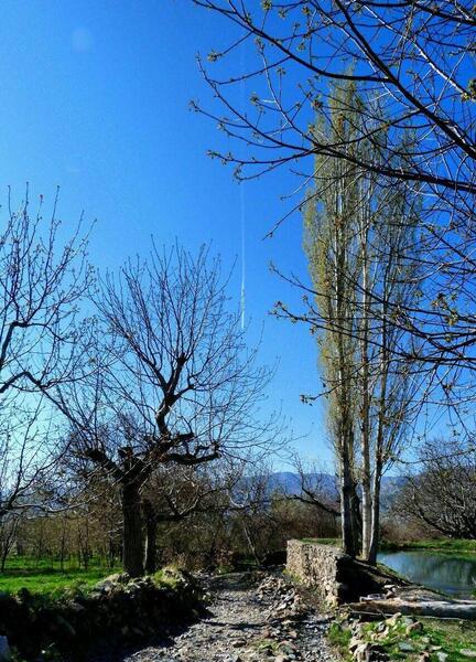 عکس طبیعت واقعی ساده
