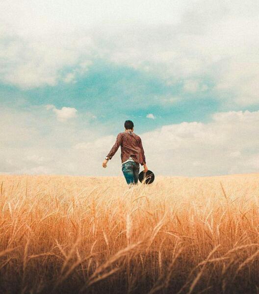 عکس دختر تنها در گندم زار