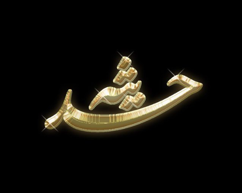 عکس قلب حدیثه
