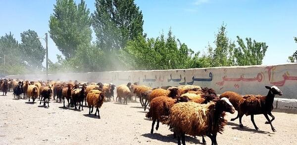 عکس روستای ایرانق