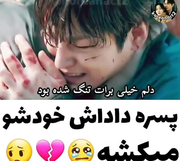 عکس روباه نه دم