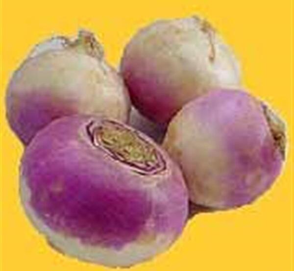عکس سبزی شلغم