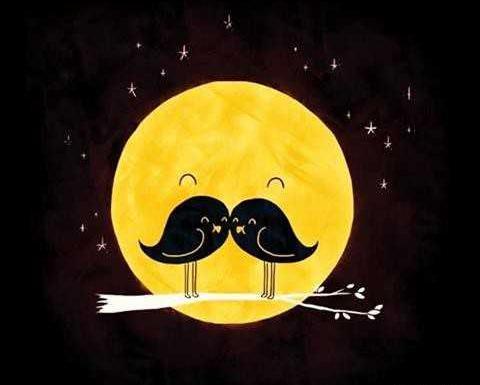 عکس شب خوش فانتزی
