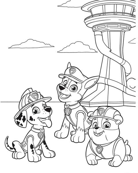 عکس سگ های نگهبان برای تصویر زمینه