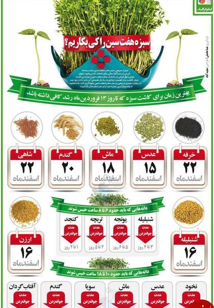 عکس کاشت سبزه عید