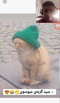 عکس های خنده دار سمی