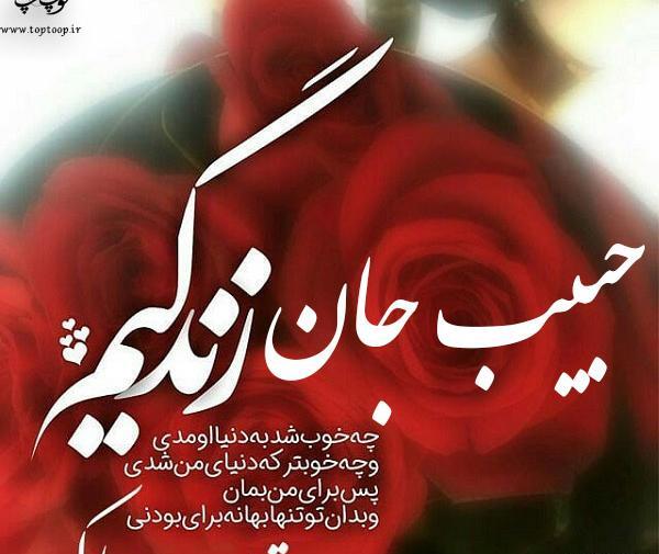 عکس ولنتاین حبیب