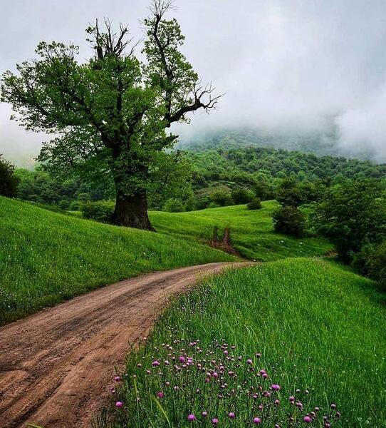 عکس های طبیعت