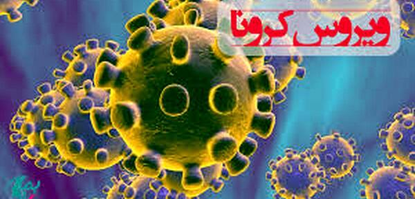 عکس ویروس گوگل