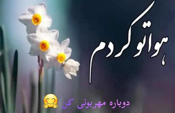 عکس هواتو کردم