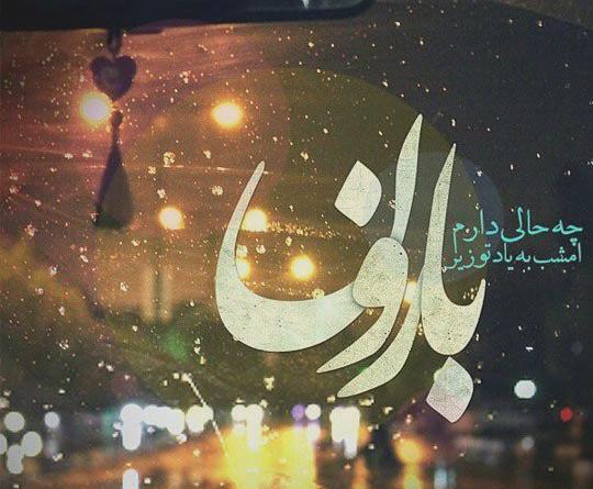 عکس گریه زیر بارون
