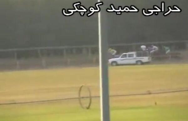 عکس اسب لیث بهزادی