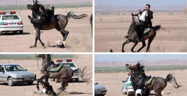 عکس اسب لیث بهزادی
