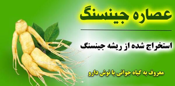 عکس گیاه جینسینگ