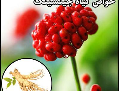 عکس گیاه جینسینگ