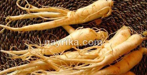 عکس گیاه جینسینگ