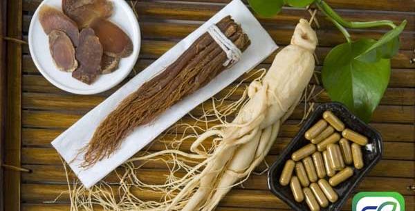 عکس گیاه جینسینگ