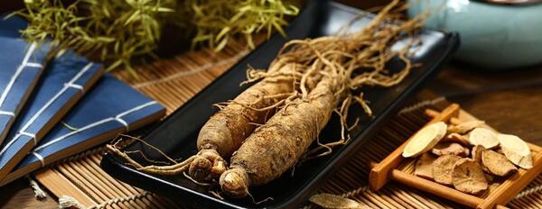 عکس گیاه جینسینگ