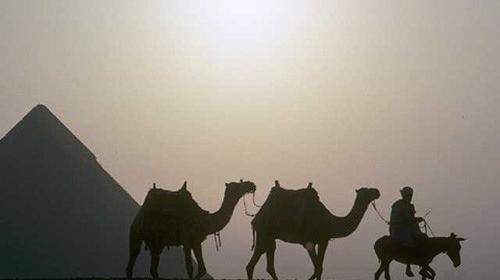 عکس شتر و ساربان