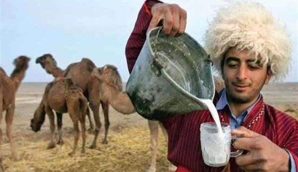عکس شتر و ساربان