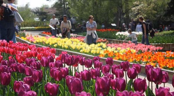 عکس فرانسه پارک