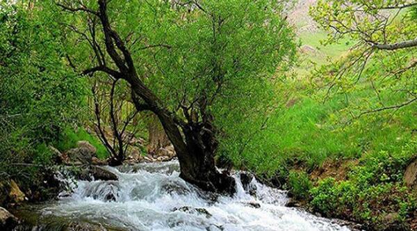 عکس شهر نهاوند