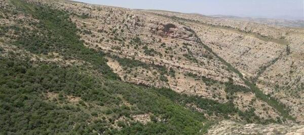 عکس روستای رئین بجنورد