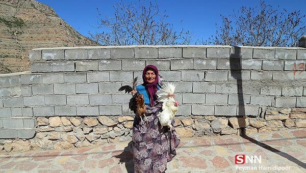 عکس روستای رئین بجنورد