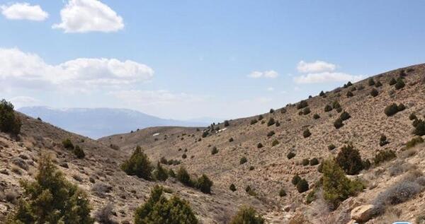 عکس روستای رئین بجنورد