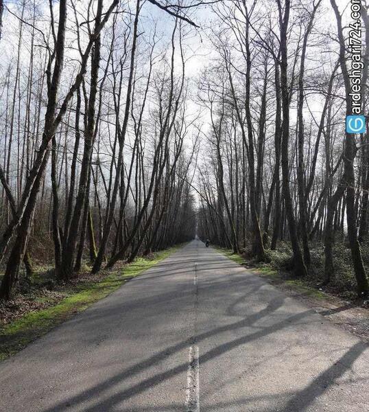 عکس روستای صفرابسته آستانه اشرفیه