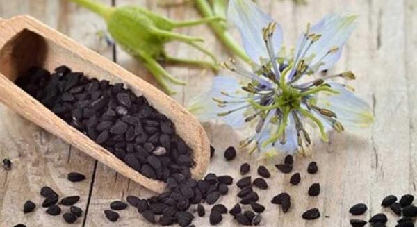 عکس سیاه دانه چیست