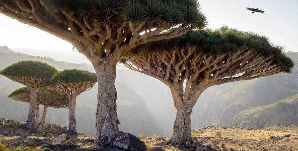 بهترین عکس زیبای جهان