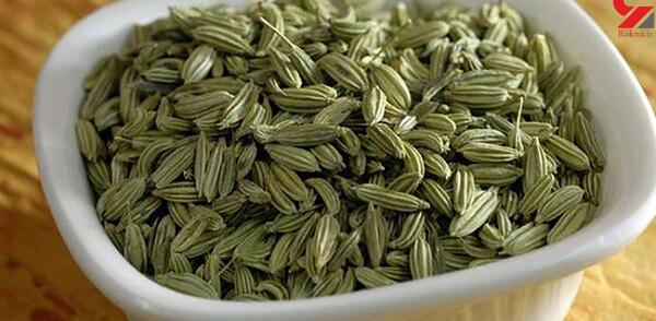 عکس دانه ی رازیانه