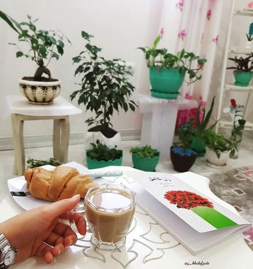 عکس تصاویر صبح بخیر آدینه
