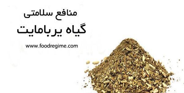 عکس چای یربامیت