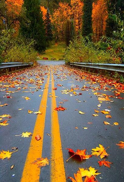 عکس برای صفحه گوشی زیبا