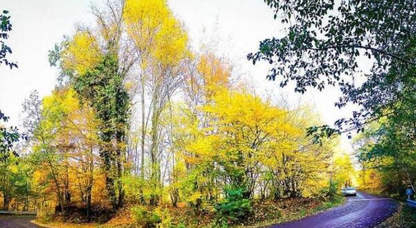 عکس جاهای دیدنی گلستان
