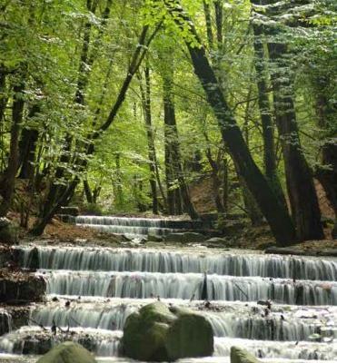 عکس جاهای دیدنی گلستان