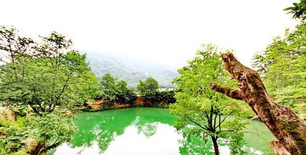 عکس جاهای دیدنی گلستان