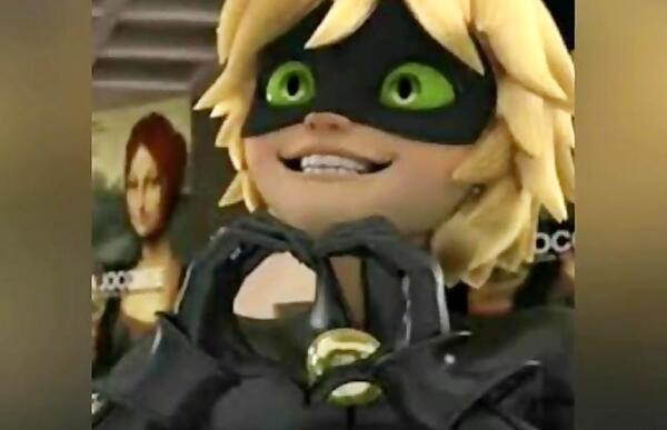 عکس گربه سیاه